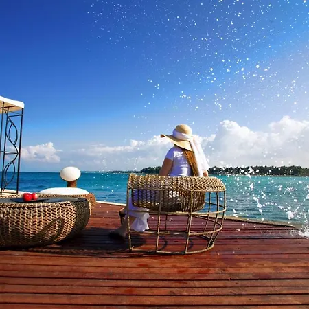Villa Buje Holiday home *
